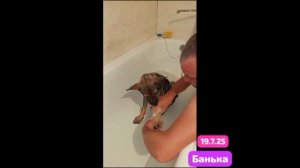 #сезонконтетаRUTUBE Баксик готовится к приему  у врача.Уколят вакцину-и поедет домой к своим друзьям