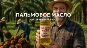 Производство пальмового масла: как выращивают плоды пальмы 🌴