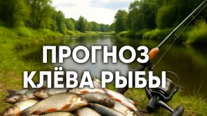 Рыба сама идёт на крючок! Не упусти лучшие дни для рыбалки!