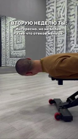 https://t.me/fitstyler_bot?start=vksheya