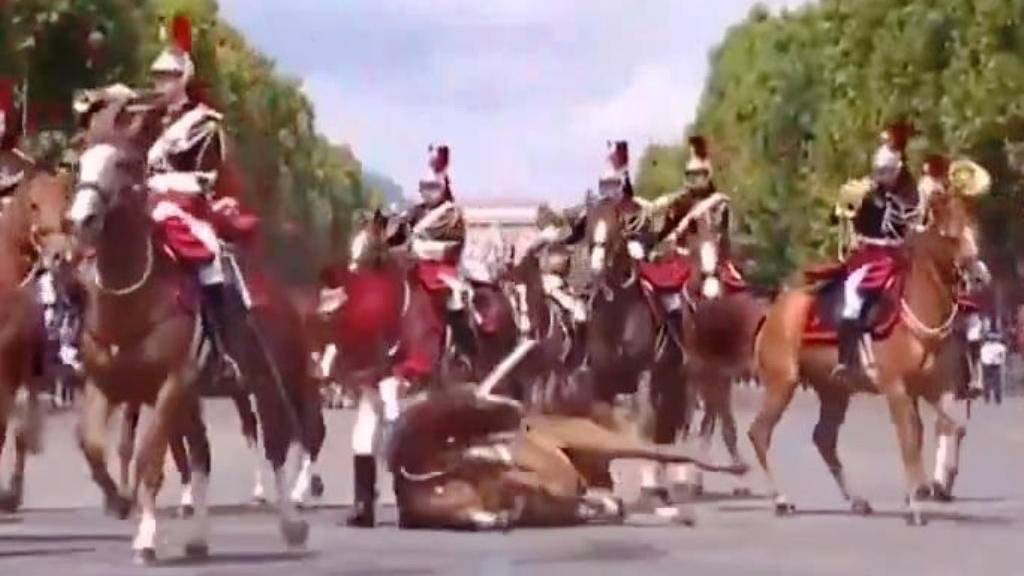 Парад во Франции по поводу взятия Бастилии 2025 Bastille Day Parade in France 2025 смотреть онлайн