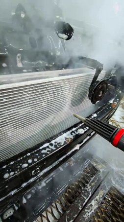 Мойка М3 Бухарестская. Мойка двигателя и радиатора со снятием бампера