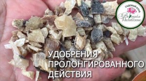 3 САМЫХ ПОПУЛЯРНЫХ УДОБРЕНИЯ ПРОЛОНГИРОВАННОГО ДЕЙСТВИЯ
