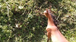 Аристарх и сильвана