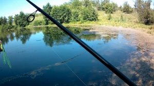 наша рыбалка , ловим и отпускаем