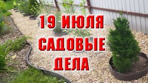 19 июля. Садовые дела