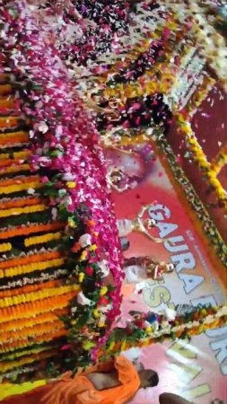 2024 || Pushpanjali on Gaura Purnima  #mayapur #pushpanjali #gaurapurnima #shorts