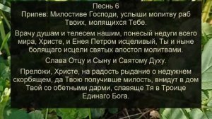 КАНОН ЗА БОЛЯЩЕГО