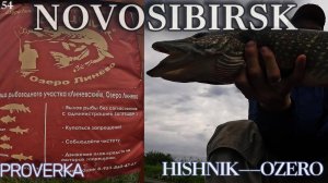 👍Рыбалка в НОВОСИБИРСКЕ "ХИЩНИК ЛИНЕВО" ЩУКА ЕСТЬ! Спиннинг, Неогруженная резина.