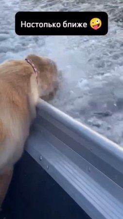 Жара, ты не оставила выбор!