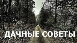 Дачные Советы 2