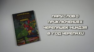 Пару слов о приключениях Черепашек-ниндзя в год черепахи | TMNT Adventures The Year of the Turtle