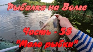 Рыбалка на Волге. Часть - 58. "Мало рыбки".