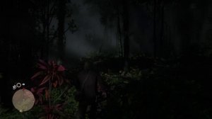 Red Dead Redemption 2 - Путешествие по Гуарме за Артура  до 5 главы (без модов, без снайпера)