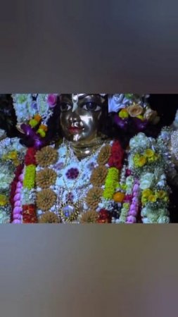 25,3,2024 || Gaura Purnima Darshan in Mayapur Chandrodaya Mandir #mayapur #gaurapurnima #shorts