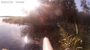 подвохи новички на отмели