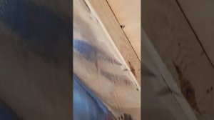 1000029577.mp4 (Собака наблюдает за креплением каркаса для имитации бруса в доме А-фрейм)