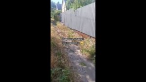 В Запорожской области нашествие саранчи !!!