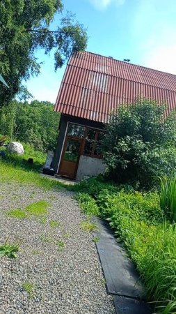 Осторожно злая собака