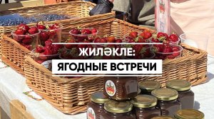 В Казани прошел летний фестиваль «Жиләкле: ягодные встречи»