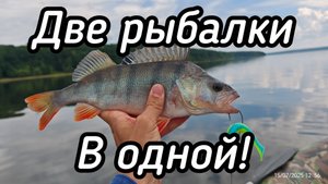 237-Две рыбалки в одной.(14-15.07.2025)