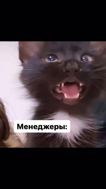 Вот и поговорили 🤣 смотреть онлайн