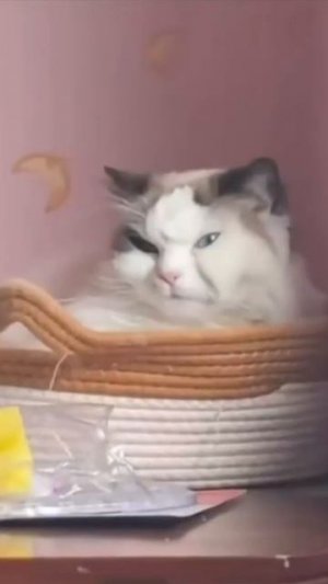 когда последний день отпуска