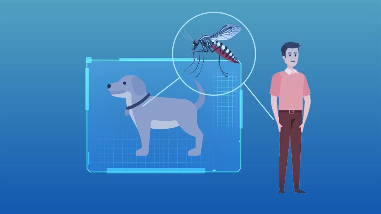 Во многих российских регионах из-за аномальной погоды началось нашествие комаров