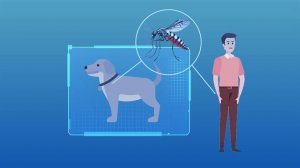 Во многих российских регионах из-за аномальной погоды началось нашествие комаров
