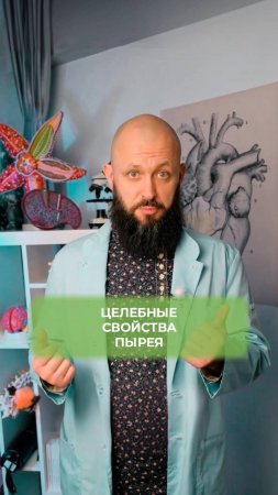 Лечебные свойства пырея