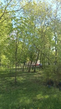 В сквере.