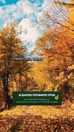 История, которая сделает тебя сильнее.