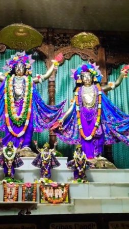 Panchatatva darshan 3 in Mayapur Dham #mayapur #harekrishna #panchatatva #shorts