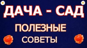 ДАЧА-САД - РАСТЕНИЯ ДЛЯ ЦВЕТНИКА