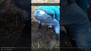 контент для взрослых