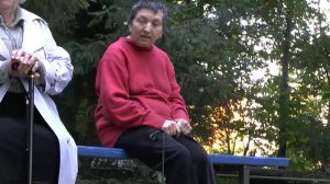 кошка на поводке