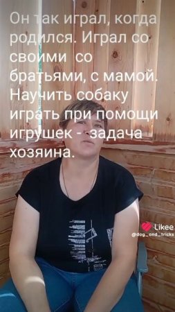 Как отучить щенка кусаться