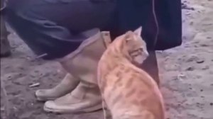 Эксперт Контроля качества😁