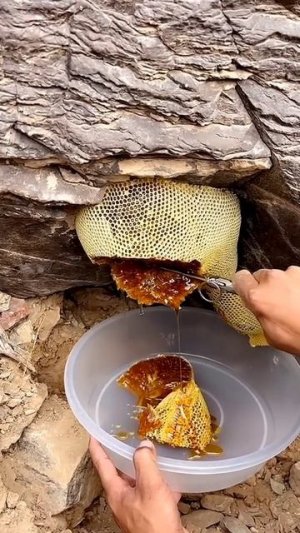 Красота мёда гор 🏔️🍯