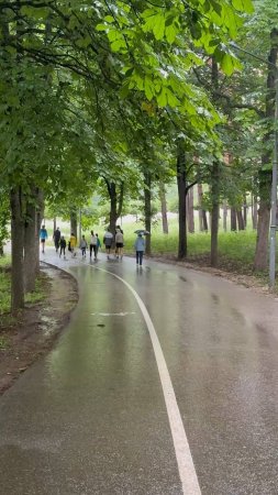 Прогулка под дождем в Кисловодском парке