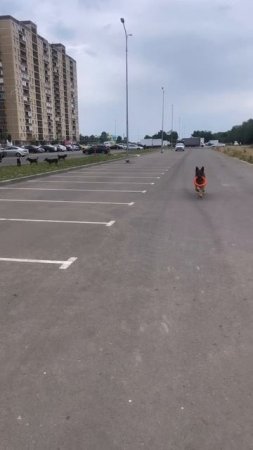 Карточка видео