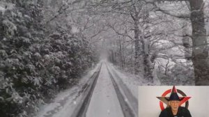 Змей. Этология ПРО : Выбрать Сторону, Когда Мир Рушится