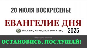 20 июля воскресенье Евангелие дня 2025 с толкованием #евангелие