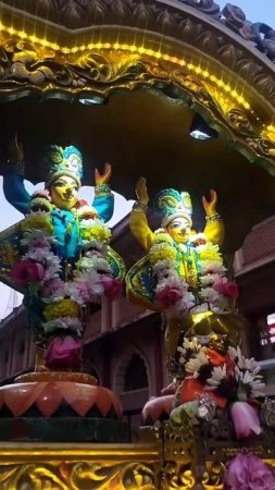 Ecstatic harinam in Mayapur Dham #mayapur #harinam #kirtan #shorts