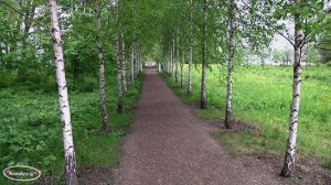 парк  "  Монрепо  "  (2)