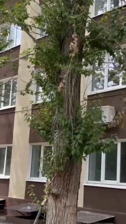Так выглядит обновлённое общежитие МЧС на ул. Университетской