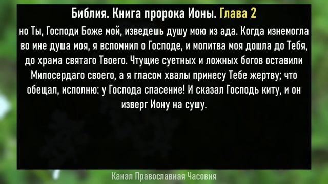 КНИГА ПРОРОКА ИОНЫ СЛУШАТЬ С ТЕКСТОМ смотреть онлайн