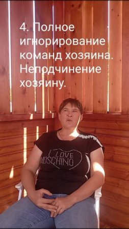 Доминантная агрессия собаки по отношению к хозяину.