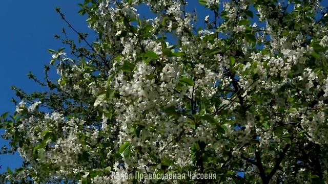 КАК СТЯЖАТЬ МИР ДУШЕВНЫЙ - СВЯТИТЕЛЬ ИГНАТИЙ БРЯНЧАНИНОВ смотреть онлайн