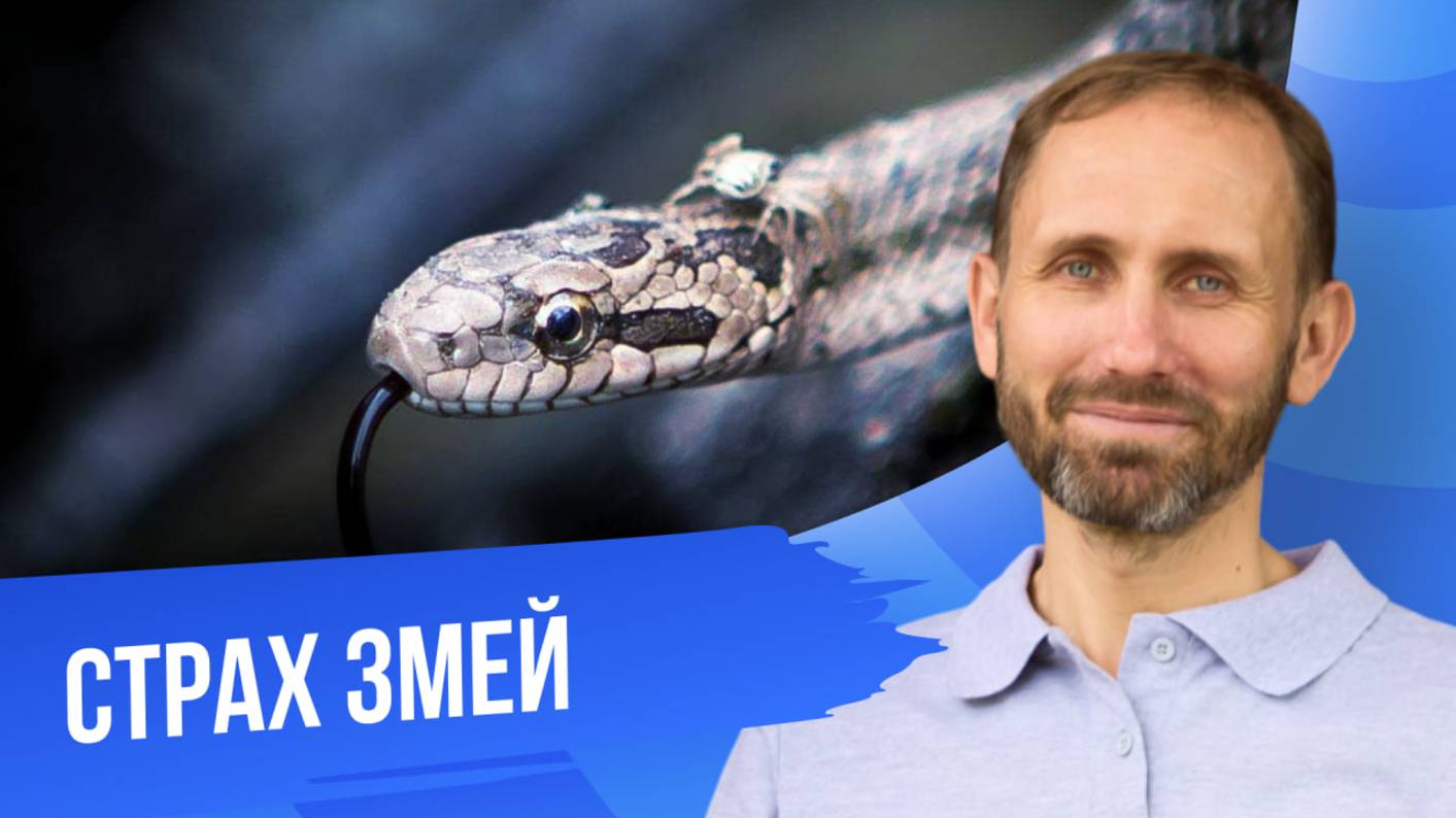Демо сессия по экспозиции «Страх змей» смотреть онлайн
